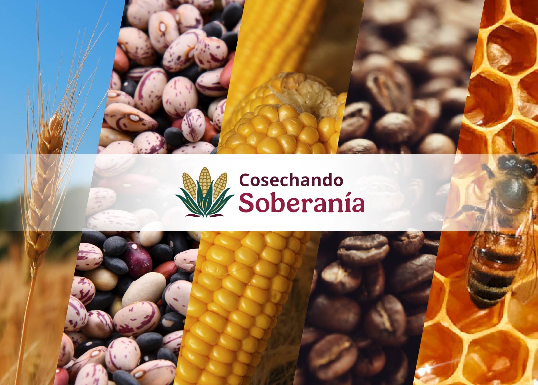 Aplicativo Web para Productores